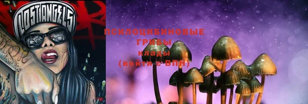 PSILOCYBIN Ельня