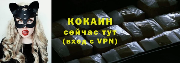 PSILOCYBIN Ельня