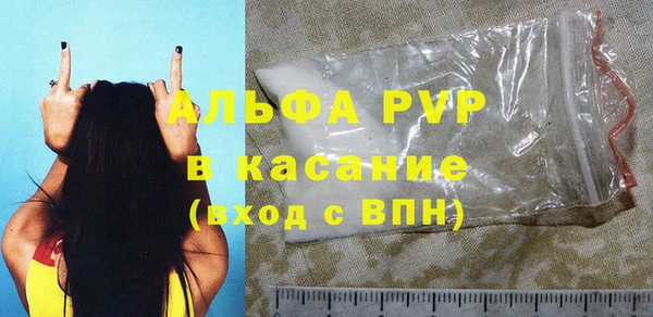 PSILOCYBIN Ельня