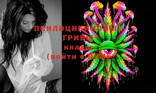 прущая мука Елизово