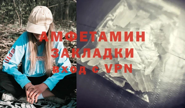 PSILOCYBIN Ельня