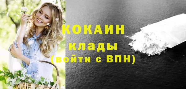 PSILOCYBIN Ельня