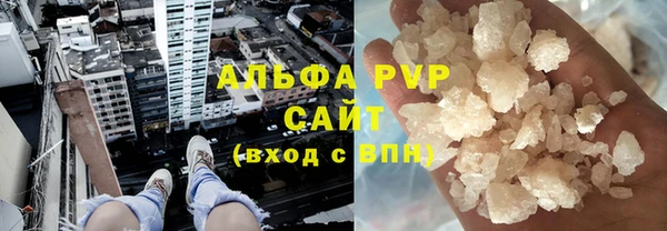 ПСИЛОЦИБИНОВЫЕ ГРИБЫ Елабуга