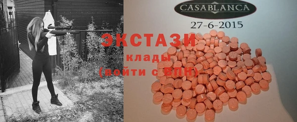 PSILOCYBIN Ельня
