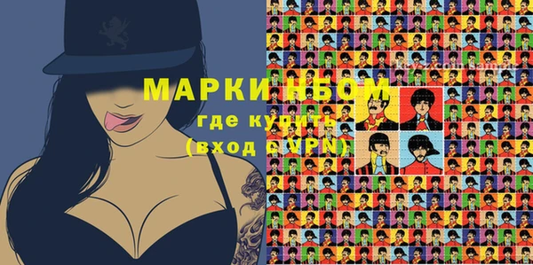PSILOCYBIN Ельня