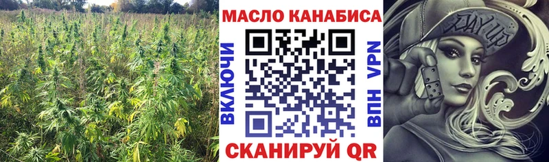 где продают   Салаир  мега ТОР  ТГК THC oil 