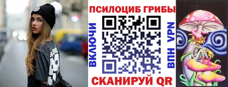 блэк спрут ссылка  Салаир  Псилоцибиновые грибы прущие грибы 